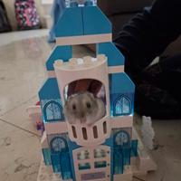 LEGO® DUPLO®

Il Castello di ghiaccio di Frozen

