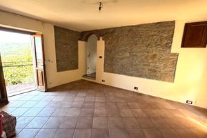 Terratetto Rustico in Collina
