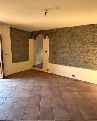 Terratetto Rustico in Collina