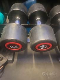 Palestra
