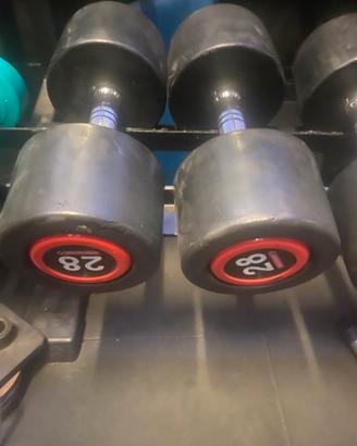 Palestra