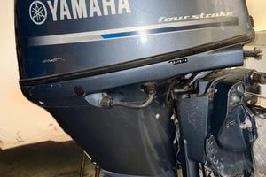 Fuoribordo Yamaha f40 hetl 2014