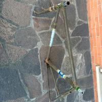 Telaio Bicicletta condorino Regina Veneta