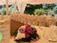 Immagine 16