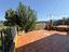 Immagine 21