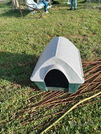 casa cane