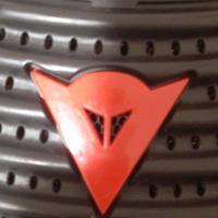 paraschiena originale dainese