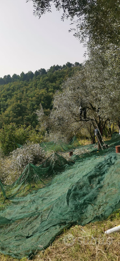 Terreno uliveto bosco Amalfi coast - Vista 2