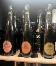 Villa Rinaldi Lotto Stock Champagne