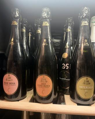 Villa Rinaldi Lotto Stock Champagne