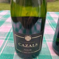 Bottiglie di champagne