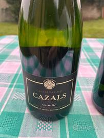 Bottiglie di champagne