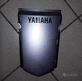 Coperchio fianchetti codone centrale tdm 900 '06