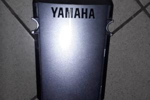 Coperchio fianchetti codone centrale tdm 900 '06