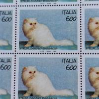 GATTO PERSIANO BIANCO - FOGLIO  50 FRANCOBOLLI