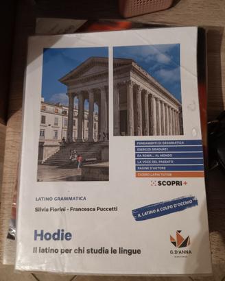 Hodie - Latino grammatica