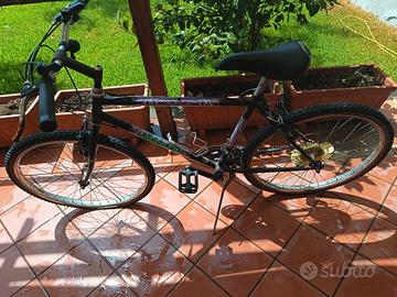 bicicletta