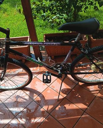 bicicletta
