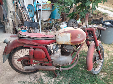 Moto agusta 175 america