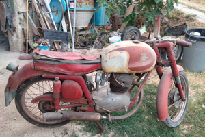 Moto agusta 175 america