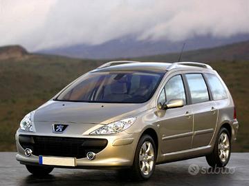 PEUGEOT 307 1.6 16V Station WAGON GPL NUOVO