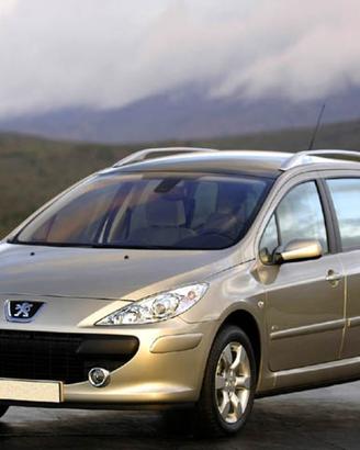 PEUGEOT 307 1.6 16V Station WAGON GPL NUOVO