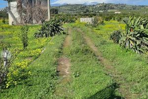 Terreno agricolo sito in Motta S.Anastasia