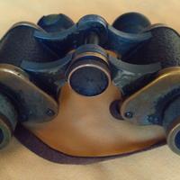 Binocolo Carl Zeiss Jena D.F. 6× – 1919