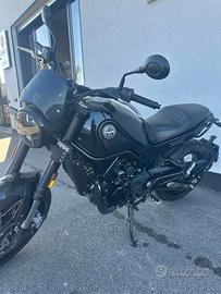 Benelli Leoncino 500