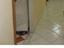 Immagine 12