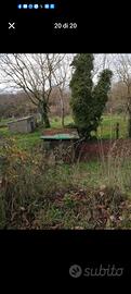 Terreno rustico con casale