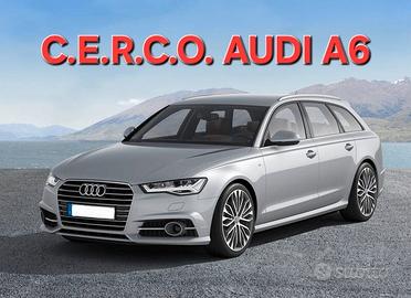 Audi R.I.T.I.R.I.A.M.O. AUDI A6