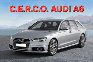 Audi R.I.T.I.R.I.A.M.O. AUDI A6