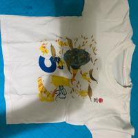 Maglietta t-shirt bambino 5 anni cittá del sole