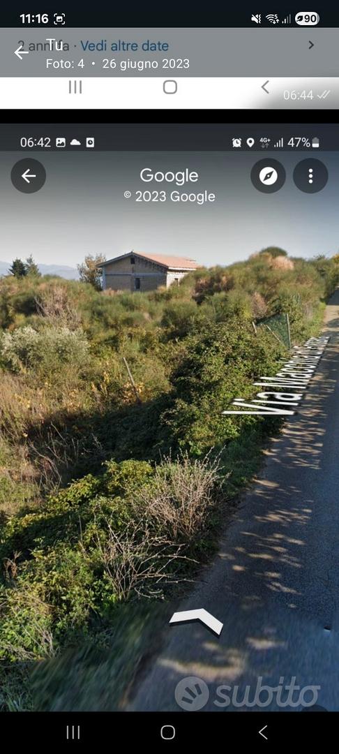Terreno agricolo 7000 mt con ulivi - Vista 2