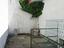 Immagine 10