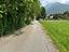 Immagine 6