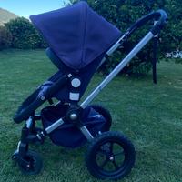Bugaboo frog