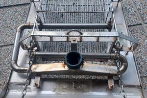 ferretto telline lupini canolicchi vongole da 60cm