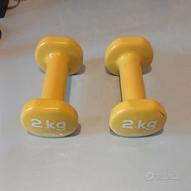 Pesetti manubri 2kg coppia