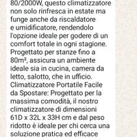 climatizzatore portatile 4 in 1