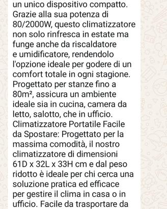climatizzatore portatile 4 in 1