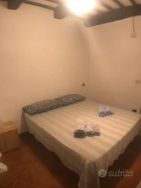 Trilocale ristrutturato in Pitigliano