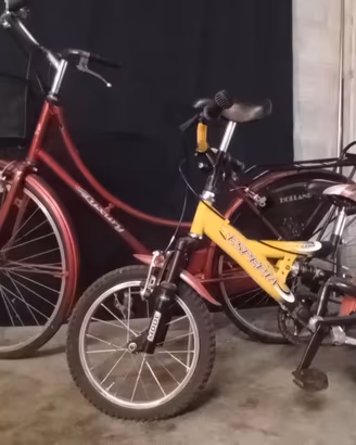 Biciclette 