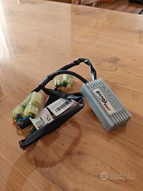 Rapido bike Easy centralina