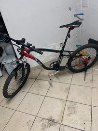 Bici elettrica ebike