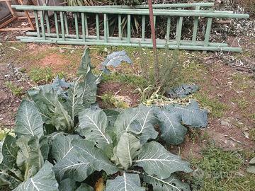 SCALE LEGNO IMPILABILI 3 PEZZI 