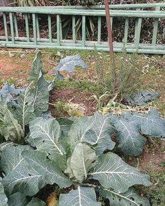 SCALE LEGNO IMPILABILI 3 PEZZI 