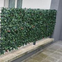 siepe finta di photinia