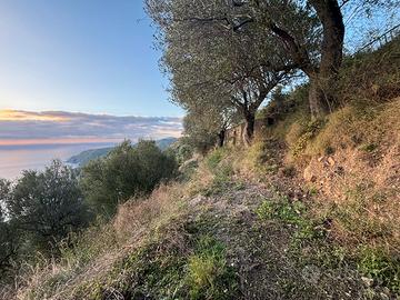 Proprietà panoramica